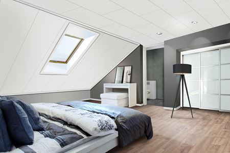 Afbeelding voor categorie Wand & plafond