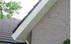 Afbeelding van hardhout powerprime plus *15 jaar garant multiplex B/BB exterieur UV gegrond 250x122cm