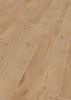 Afbeelding van Ter Hürne perform SPC vinyl lock it easy landhuisdeel XL eiken Dublin 6mmx23,5x151,7cm (per pak van 6 stuks=2,14m²)