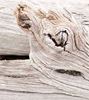 Afbeelding van Sioo:x premium wood protection silver grijs voor radiata-pine vulcan schroot victor stap 1 van 2 (per jerrycan=3ltr)
