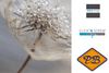 Afbeelding van HDM aqua step SPC click 'N screw wandpaneel visuals digitale print delicate dry grass branch 4,5mm XL