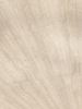 Afbeelding van PARADOR wand-en plafondpaneel rapidoclick MDF eiken vintage decor 12mm
