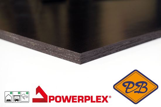 Afbeelding van hardhout powerfilm betonmultiplex glad 250x125cm