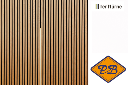 Afbeeldingen van Ter Hürne livingwall light Eirik wand LED strip zwart