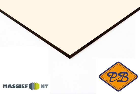 Afbeelding van Plastica Massief NT ® exterieur gevelplaat 0851 winterwit