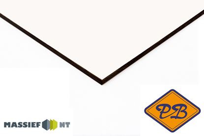 Afbeeldingen van Plastica Massief NT ® exterieur gevelplaat 0091 sneeuwwit