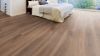 Afbeeldingen van Ter Hürne IKO grand line smart connect pro aqua 1 premium laminaat landhuisdeel XL eiken tea room 10mmx24,5x200cm (per pak van 5 stuks=2,45m²)