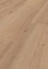Afbeeldingen van Ter Hürne DURECO SILENT click laminaat grand edition landhuisdeel eiken Palau 7mmx24,5x200,3cm (per pak van 7 stuks=3,43m²)