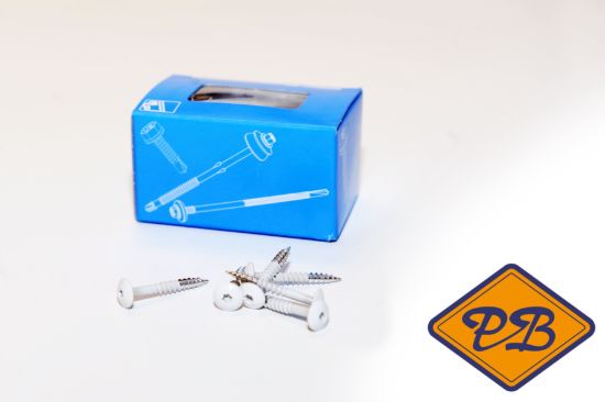 Afbeeldingen van DEKOKERN RVS  snelmontageschroeven  RAL 9010 zuiver wit 4,8x32mm (per doos=100stuks)