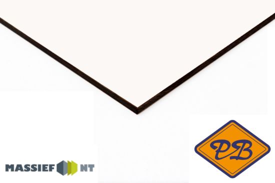 Afbeeldingen van Plastica Massief NT ® exterieur gevelplaat 0091 sneeuwwit