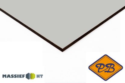 Afbeeldingen van Plastica Massief NT ® exterieur gevelplaat 0074 pastelgrijs