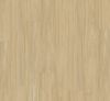 Afbeeldingen van PARADOR TATERRA HDF safe-lock PRO® click landhuisdeel ECO vloer Eiken Virida zandbeige 8mmx19,4x128,5cm (per pak van 10 stuks=2,49m²)