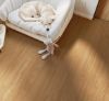 Afbeeldingen van PARADOR TATERRA HDF safe-lock PRO® click landhuisdeel ECO vloer Eiken Virida almond brown 8mmx19,4x128,5cm (per pak van 10 stuks=2,49m²)