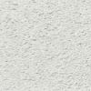 Afbeeldingen van AGNES professional plafondtegel BRANDVERTRAGEND SPAAN 02TF stucco wit XXL 12mm