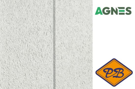 Afbeeldingen van AGNES professional wandplaat SPAAN 02TF Stucco wit XXL 12mm
