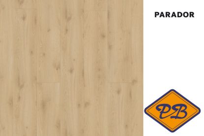 Afbeeldingen van PARADOR LOIRENA TRENDTIME 6 safe lock® PRO click KASTEEL laminaatvloer XL eiken Arve soft sand effect structuur 9mmx24,3x220cm (per pak van 5 stuks=2,67m²)